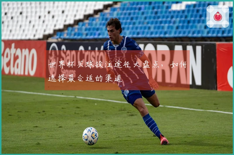世界杯买球投注途径大盘点，如何选择最合适的渠道