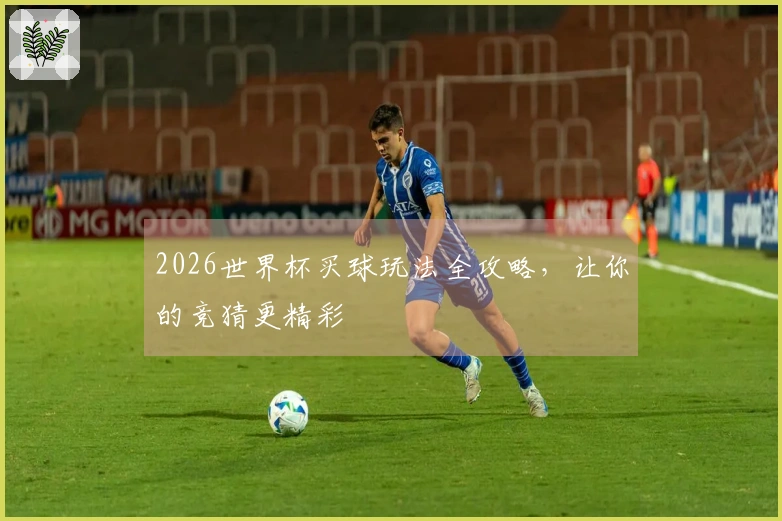 2026世界杯买球玩法全攻略，让你的竞猜更精彩