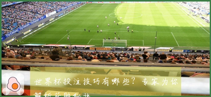 世界杯投注技巧有哪些？专家为你解析获胜秘诀