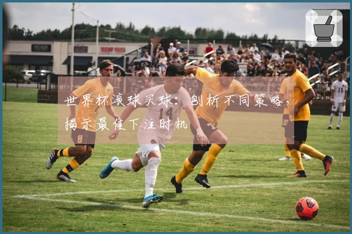 世界杯滚球买球：刨析不同策略，揭示最佳下注时机