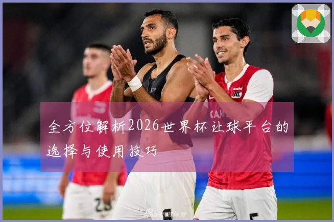 全方位解析2026世界杯让球平台的选择与使用技巧