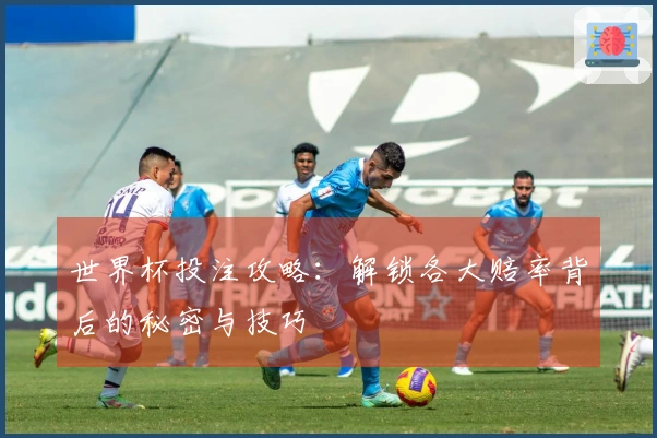 世界杯投注攻略：解锁各大赔率背后的秘密与技巧