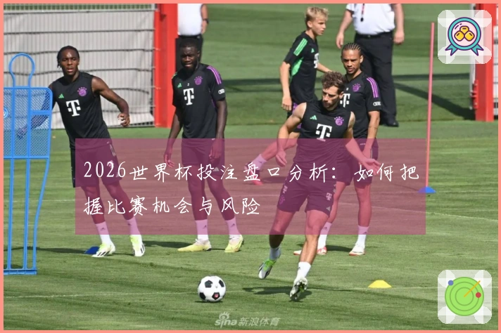 2026世界杯投注盘口分析：如何把握比赛机会与风险