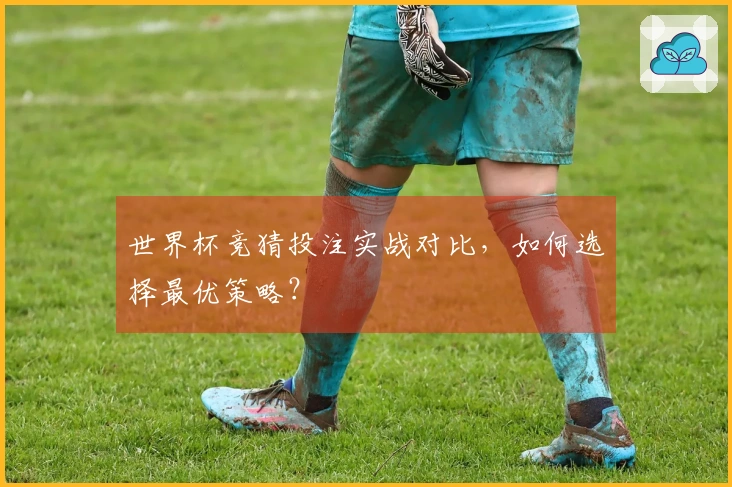 世界杯竞猜投注实战对比，如何选择最优策略？