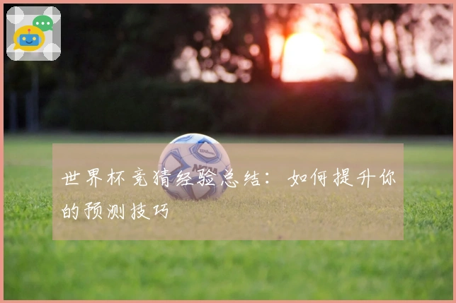 世界杯竞猜经验总结：如何提升你的预测技巧