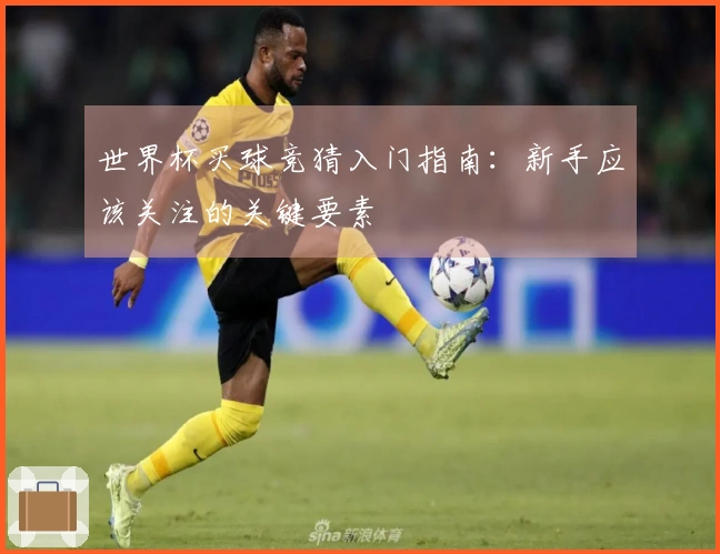 世界杯买球竞猜入门指南：新手应该关注的关键要素