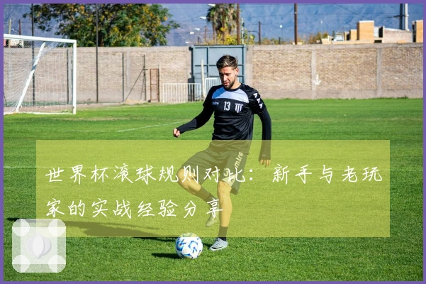 世界杯滚球规则对比：新手与老玩家的实战经验分享