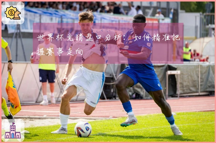 世界杯竞猜盘口分析：如何精准把握赛事走向