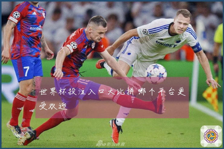 世界杯投注入口大比拼 哪个平台更受欢迎